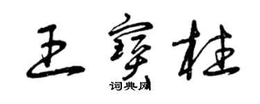 曾慶福王寶柱草書個性簽名怎么寫