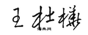 駱恆光王杜樺草書個性簽名怎么寫