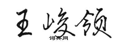 駱恆光王峻領行書個性簽名怎么寫