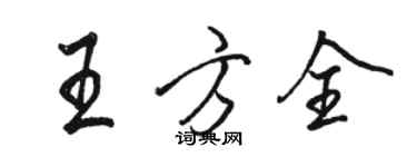 駱恆光王方全行書個性簽名怎么寫