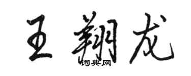 駱恆光王翔龍行書個性簽名怎么寫