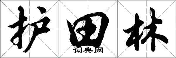 胡問遂護田林行書怎么寫