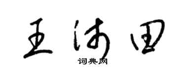 梁錦英王沛田草書個性簽名怎么寫