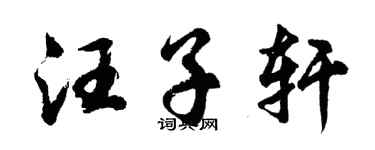 胡問遂汪子軒行書個性簽名怎么寫