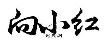 胡問遂向小紅行書個性簽名怎么寫