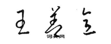 駱恆光王善意草書個性簽名怎么寫