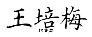 丁謙王培梅楷書個性簽名怎么寫