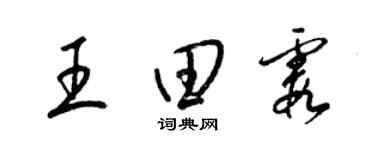 梁錦英王田霞草書個性簽名怎么寫