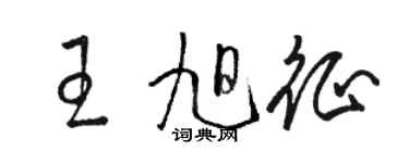 駱恆光王旭征草書個性簽名怎么寫