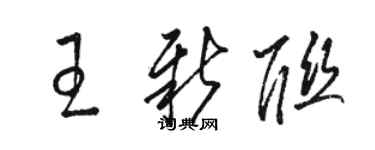 駱恆光王新聯草書個性簽名怎么寫
