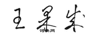 駱恆光王果成草書個性簽名怎么寫