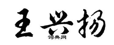 胡問遂王興揚行書個性簽名怎么寫