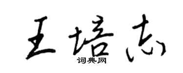 王正良王培志行書個性簽名怎么寫