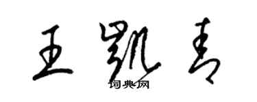 梁錦英王凱青草書個性簽名怎么寫