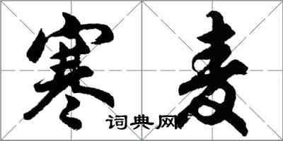 胡問遂寒麥行書怎么寫