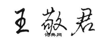 駱恆光王敬君行書個性簽名怎么寫