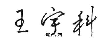 駱恆光王宇科草書個性簽名怎么寫