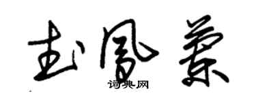 朱錫榮武鳳蘭草書個性簽名怎么寫