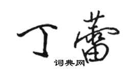 駱恆光丁蕾行書個性簽名怎么寫