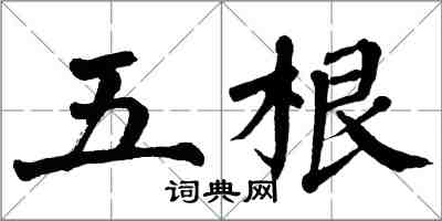 翁闓運五根楷書怎么寫