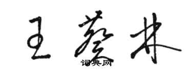 駱恆光王葵林草書個性簽名怎么寫