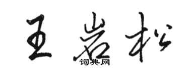 駱恆光王岩松行書個性簽名怎么寫