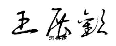 曾慶福王展歡草書個性簽名怎么寫