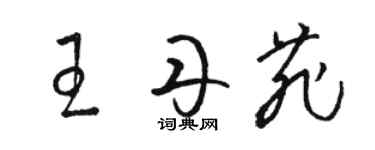 駱恆光王丹菲草書個性簽名怎么寫