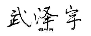 曾慶福武澤宇行書個性簽名怎么寫