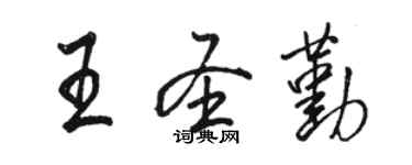 駱恆光王聖勤行書個性簽名怎么寫