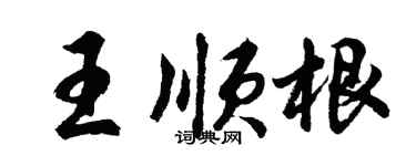 胡問遂王順根行書個性簽名怎么寫