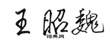 駱恆光王昭魏行書個性簽名怎么寫