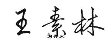 駱恆光王素林行書個性簽名怎么寫