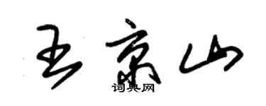 朱錫榮王京山草書個性簽名怎么寫