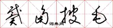 梁錦英戴角披毛草書怎么寫
