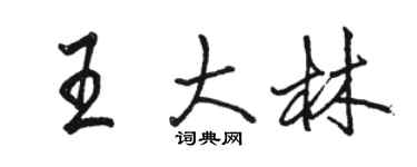 駱恆光王大林行書個性簽名怎么寫