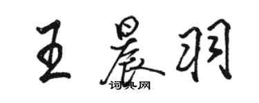 駱恆光王晨羽行書個性簽名怎么寫