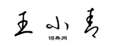 梁錦英王小青草書個性簽名怎么寫