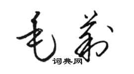 駱恆光毛莉草書個性簽名怎么寫