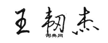 駱恆光王韌傑行書個性簽名怎么寫