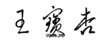 駱恆光王寶杏草書個性簽名怎么寫