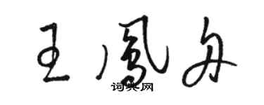 駱恆光王鳳舟草書個性簽名怎么寫
