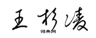 梁錦英王杉凌草書個性簽名怎么寫