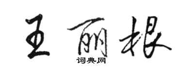 駱恆光王麗根行書個性簽名怎么寫