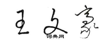 駱恆光王文豪草書個性簽名怎么寫