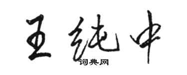 駱恆光王純中行書個性簽名怎么寫