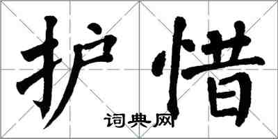 翁闓運護惜楷書怎么寫