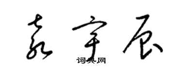 梁錦英袁宇辰草書個性簽名怎么寫