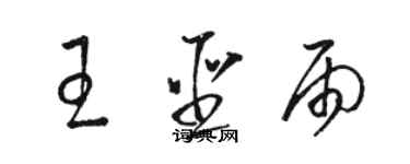 駱恆光王聖雨草書個性簽名怎么寫