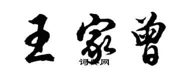 胡問遂王家曾行書個性簽名怎么寫